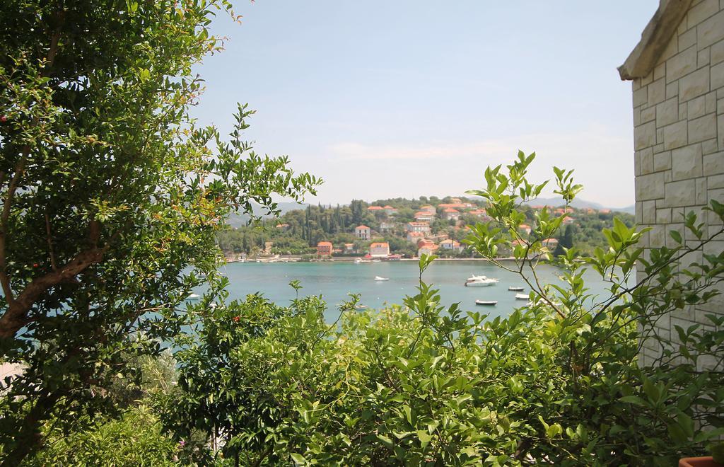 Apartments Tereza Donje Celo Экстерьер фото